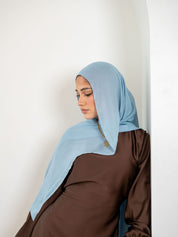 Sky Blue Premium Modal