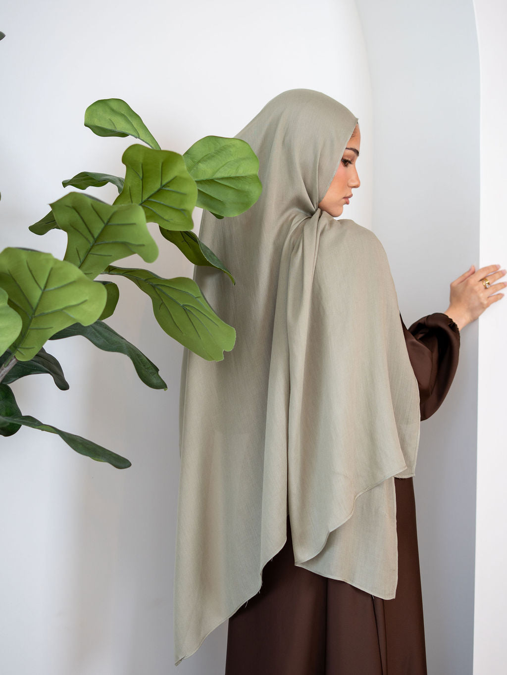 Moss Premium Modal
